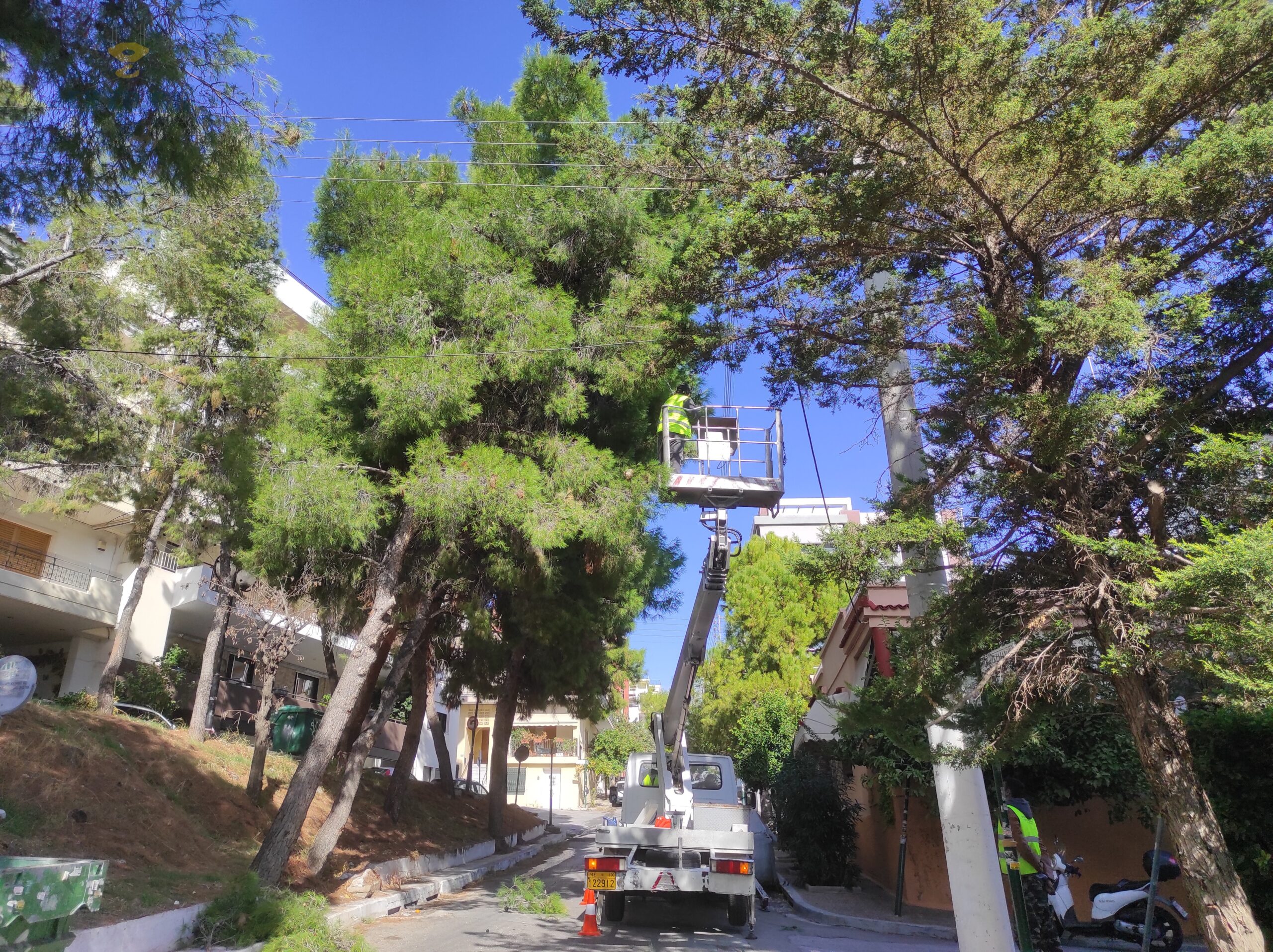 κοπή κλάδεμα υψηλών δέντρων με καλαθοφόρο γερανό
